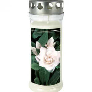 Ewa Kerzen, bougies de Noël et bougies de l'Avent Bougie Funeraire Gardenia, 21,5 Cm