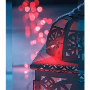 Konstsmide, guirlandes lumineuses de Noël Guirlande Lumineuse Avec Changement De Couleur, 50 Diodes Led