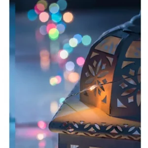 Konstsmide, guirlandes lumineuses de Noël Guirlande Lumineuse Avec Changement De Couleur, 50 Diodes Led