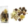 Riffelmacher et Weinberger Pot Pourri Melange Pomme De Pin, Cannelle, Mousse, Déco, 100 G
