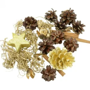 Riffelmacher et Weinberger Pot Pourri Melange Pomme De Pin, Cannelle, Mousse, Déco, 100 G